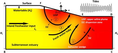 Effects of Multiconstituent Tides on a Subterranean Estuary With Fixed-Head Inland Boundary